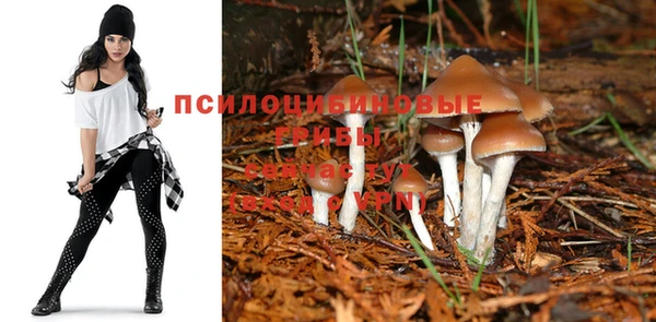 сатива Алексеевка