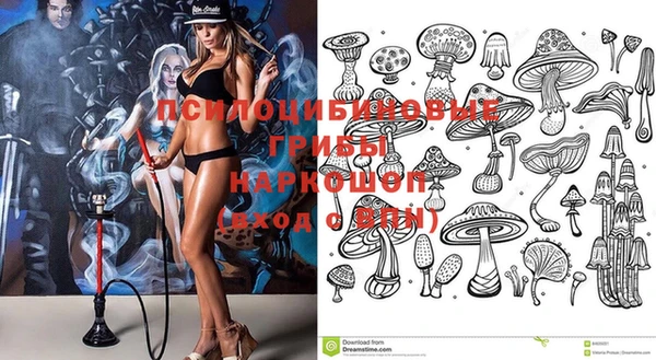сатива Алексеевка