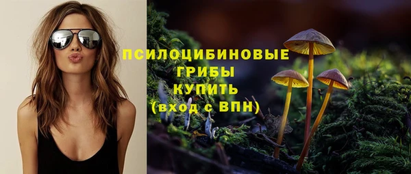 эйфоретик Алексин