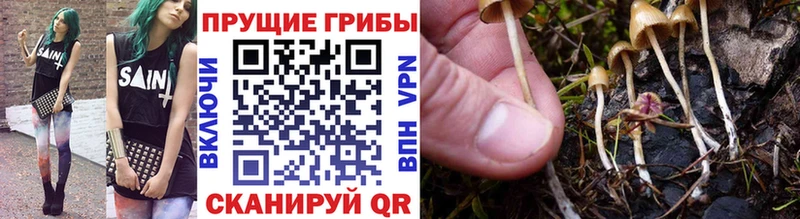 Галлюциногенные грибы Cubensis  Сыктывкар 